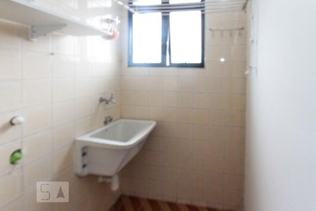 Área de Serviço de apartamento para alugar com 2 quartos, 49m² em Quinta da Paineira, São Paulo