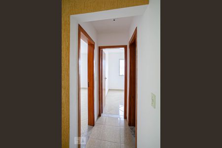 Corredor de apartamento para alugar com 2 quartos, 65m² em Nova Vista, Belo Horizonte