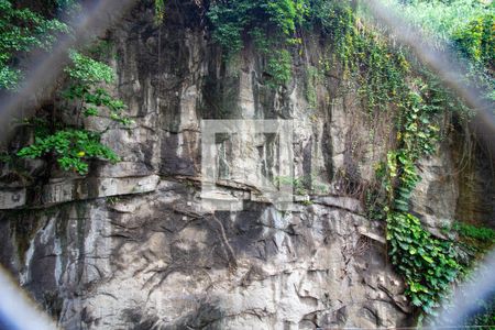 Apartamento à venda com 80m², 2 quartos e 1 vagaVista da Área de Serviço