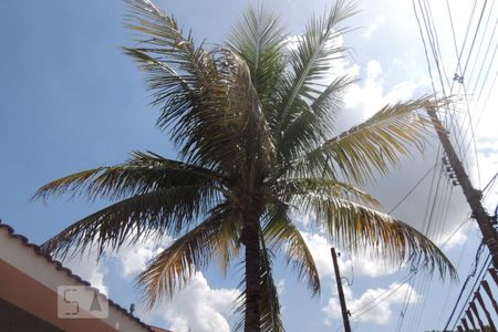 Casa para alugar com 194m², 3 quartos e 3 vagasGaragem