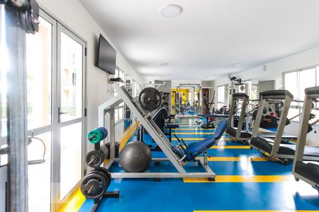 Apartamento para alugar com 50m², 2 quartos e 1 vagaÁrea comum - Academia