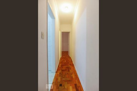 Apartamento para alugar com 40m², 1 quarto e sem vagaCorredor