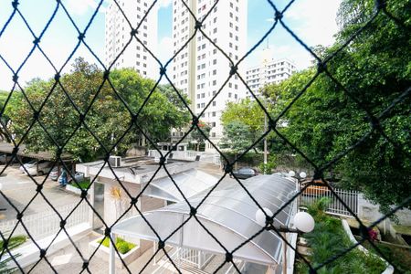 Apartamento para alugar com 50m², 2 quartos e 1 vagaQuarto 2 - Vista