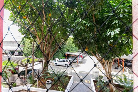 Apartamento para alugar com 50m², 2 quartos e 1 vagaÁrea de Serviço - Vista