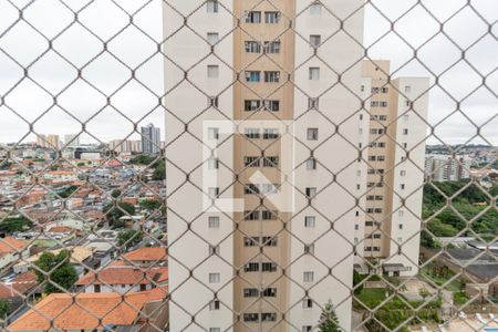 Vista da Varanda de apartamento para alugar com 2 quartos, 68m² em Vila Universitaria, São Paulo
