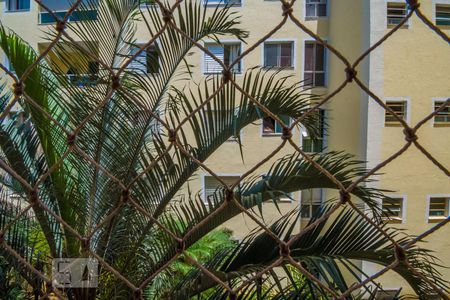 Vista da Suíte de apartamento para alugar com 2 quartos, 57m² em Mansões Santo Antônio, Campinas