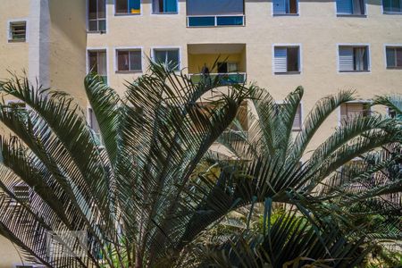 Vista da Varanda de apartamento para alugar com 2 quartos, 57m² em Mansões Santo Antônio, Campinas