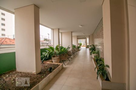 Apartamento à venda com 81m², 2 quartos e 1 vaga Apartamento à venda com 81m², 2 quartos e 1 vagaÁrea comum