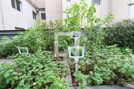 Studio à venda com 32m², 1 quarto e 1 vagaÁrea comum - Horta Comunitária