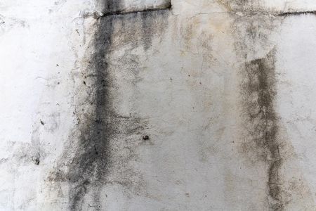 Casa à venda com 360m², 2 quartos e sem vagaVista do Quarto