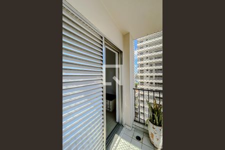 Apartamento à venda com 170m², 5 quartos e 2 vagasSacada do Quarto