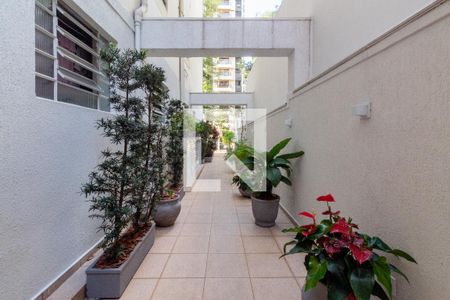 Apartamento à venda com 87m², 2 quartos e 1 vaga Apartamento à venda com 87m², 2 quartos e 1 vagaÁrea comum - corredor