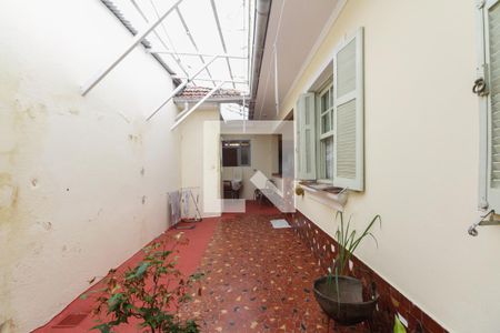 Casa à venda com 409m², 3 quartos e 5 vagasQuintal 