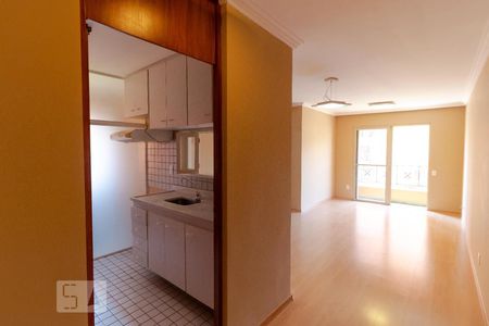 Hall de Entrada de apartamento para alugar com 3 quartos, 65m² em Chácara da Barra, Campinas