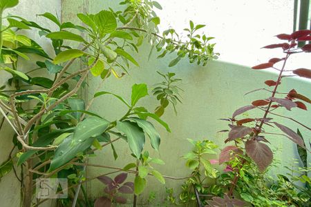 Vista Sala de casa à venda com 3 quartos, 225m² em Olaria, Rio de Janeiro