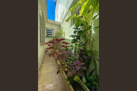 Casa à venda com 225m², 3 quartos e 5 vagasJardim