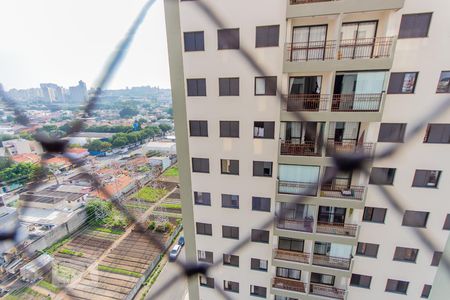 Vista do Quarto 1 de apartamento à venda com 3 quartos, 84m² em Vila Floresta, Santo André