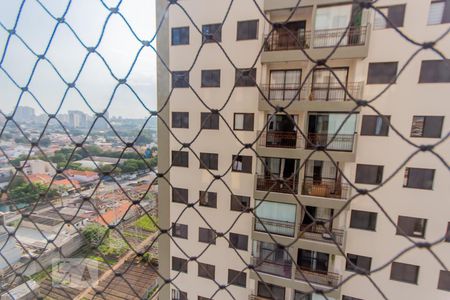Vista da Sala de apartamento para alugar com 3 quartos, 84m² em Vila Floresta, Santo André