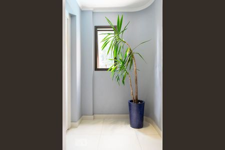 Apartamento à venda com 150m², 4 quartos e 3 vagashall entrada apartamento