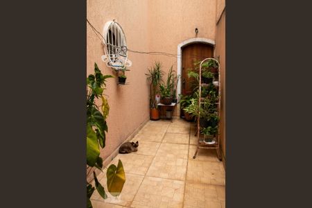 Casa à venda com 240m², 3 quartos e 5 vagasQuintal