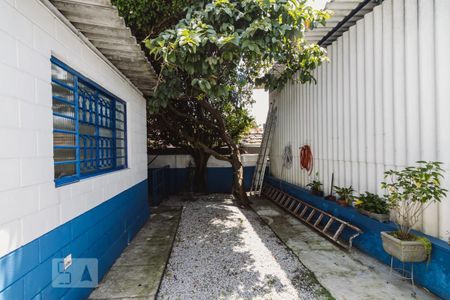 Casa à venda com 250m², 6 quartos e 11 vagasQuintal