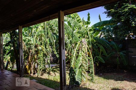 Casa à venda com 1000m², 3 quartos e 3 vagasQuintal