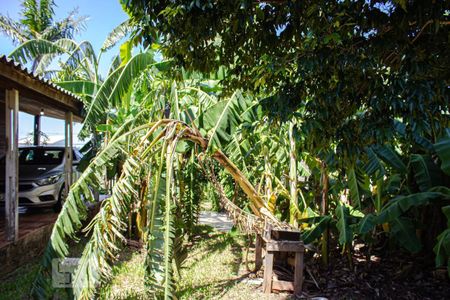 Casa à venda com 1000m², 3 quartos e 3 vagasQuintal