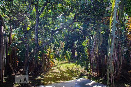 Casa à venda com 1000m², 3 quartos e 3 vagasQuintal