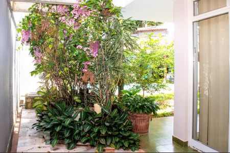 Casa para alugar com 340m², 5 quartos e 6 vagasQuintal