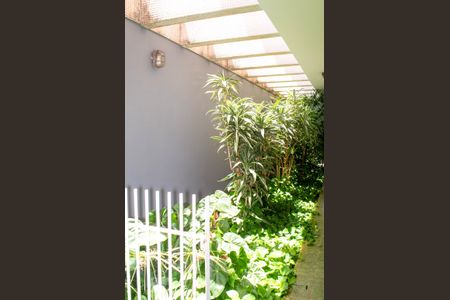 Casa para alugar com 340m², 5 quartos e 6 vagasQuintal