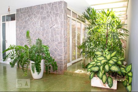 Casa para alugar com 340m², 5 quartos e 6 vagasQuintal