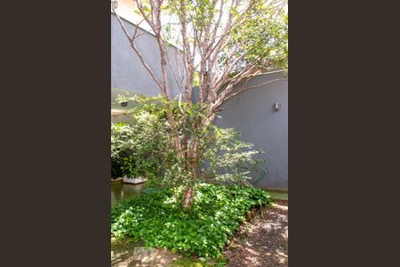Casa para alugar com 340m², 5 quartos e 6 vagasQuintal