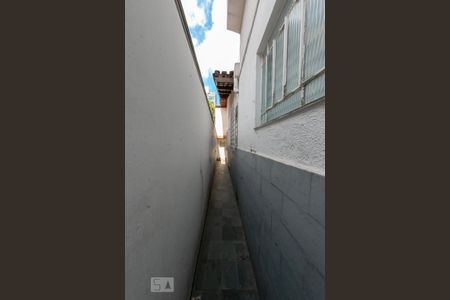 Casa para alugar com 300m², 7 quartos e 7 vagasÁrea Externa