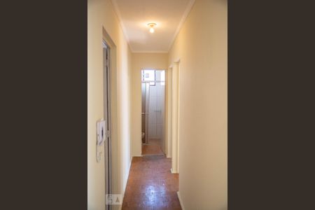 Corredor de apartamento para alugar com 2 quartos, 63m² em Jardim Campos Elíseos, Campinas
