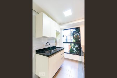 Cozinha - Armários de apartamento para alugar com 1 quarto, 38m² em Vila Ema, São Paulo
