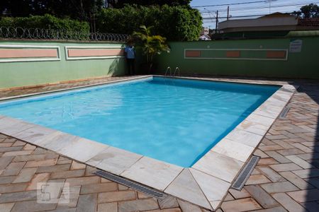 Área comum - Piscina de apartamento para alugar com 3 quartos, 65m² em Jardim Palma Travassos, Ribeirão Preto