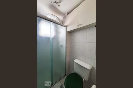 Banheiro de apartamento para alugar com 3 quartos, 73m² em Cambuci, São Paulo