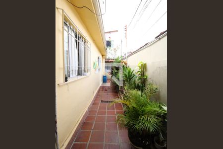 Área comum de casa para alugar com 3 quartos, 120m² em Vila Nilo, São Paulo