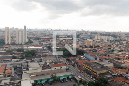Vista  de apartamento para alugar com 3 quartos, 118m² em Vila Antonieta, São Paulo