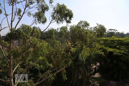 Vista de apartamento para alugar com 1 quarto, 24m² em Paraíso Morumbi , São Paulo