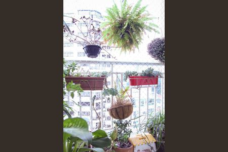 Varanda da Sala de apartamento para alugar com 2 quartos, 60m² em Rudge Ramos, São Bernardo do Campo