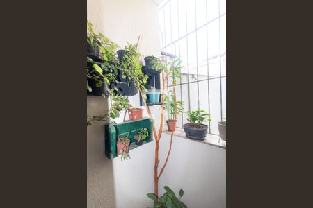 Apartamento à venda com 110m², 3 quartos e 2 vagasVaranda da Suíte 