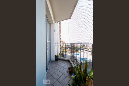 Varanda de apartamento para alugar com 3 quartos, 80m² em Vila Barbosa, São Paulo