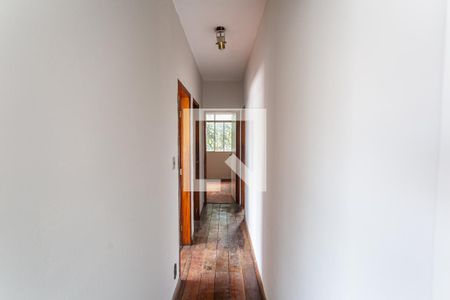 Corredor de apartamento para alugar com 3 quartos, 92m² em Serra, Belo Horizonte