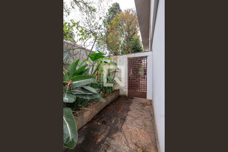 Casa para alugar com 377m², 4 quartos e 5 vagasQuintal