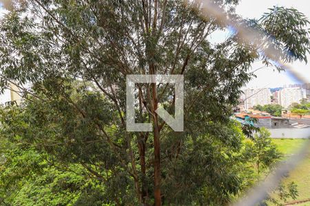 Apartamento à venda com 129m², 3 quartos e 2 vagasVista da Suíte 3