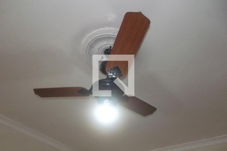 Casa para alugar com 85m², 2 quartos e 2 vagasDetalhe