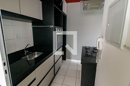 Cozinha - Armários de apartamento para alugar com 2 quartos, 52m² em Jardim Monte Alegre, Taboão da Serra