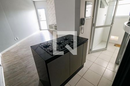 Apartamento para alugar com 52m², 2 quartos e sem vaga Apartamento para alugar com 52m², 2 quartos e sem vagaCozinha - Armários