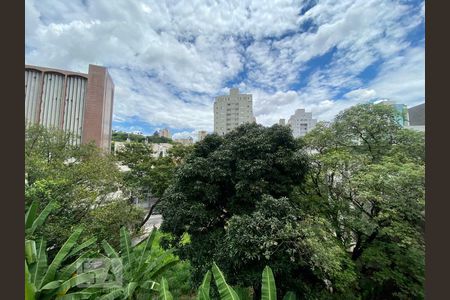 Apartamento para alugar com 3 quartos, 120m² em Santo Antônio, Belo Horizonte